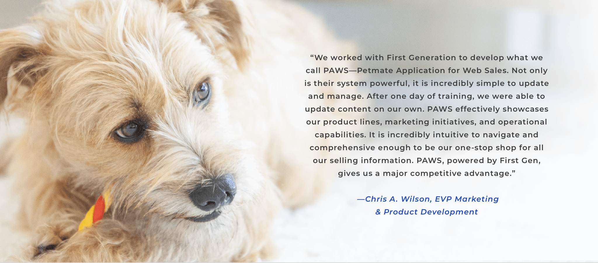 PETMATE VIRTUAL PRODUCT EXPERIENCE